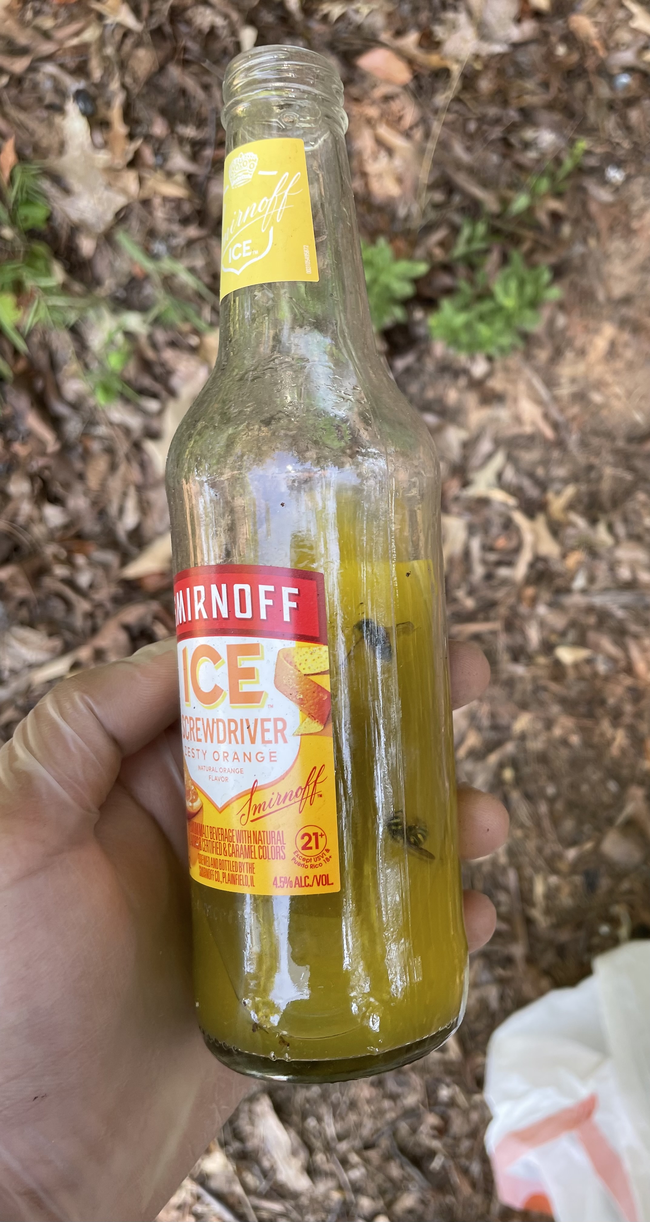 An image of a Smirnoff Screwdriver (Vodka and orange juice) bottle, half full, with drowned insects inside